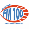 Radio FM 100 100.1