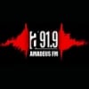 Radio Amadeus 91.9 FM