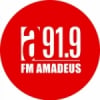 Radio Amadeus 91.9 FM