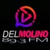 Radio del Molino 89.3 FM