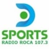 D Sports Radio Roca 107.3 FM
