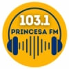 Rádio Princesa 103.1 FM