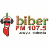 Radio Biber 107.5 FM
