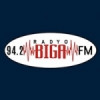 Radio Biga 94.2 FM