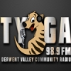 Radio Tyga 98.9 FM