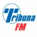 Tribuna 99.1 FM