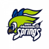 Saga Springs