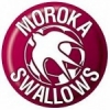 Moroka Swallows