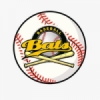 BATS