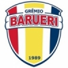 Grêmio Barueri