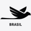 Seleção da CUFA